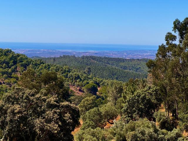 Terreno venda em Monchique, Faro