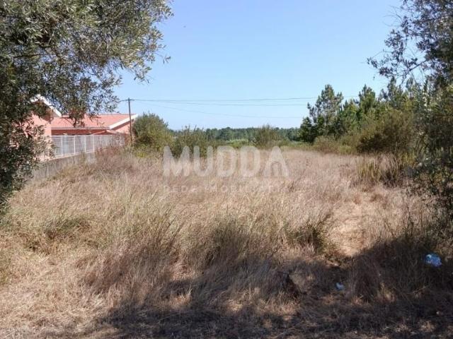 Terreno venda em Anadia, Aveiro