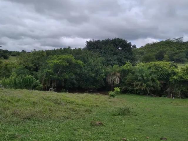 Fazenda venda em Região Geográfica Imediata de São Luís de Montes Belos, Sanclerlândia