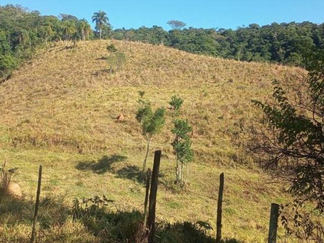 Sítio e chácara venda em Região Imediata de Itapeva, Capão Bonito