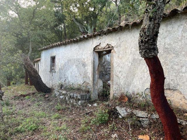 Quinta venda em Monchique, Faro