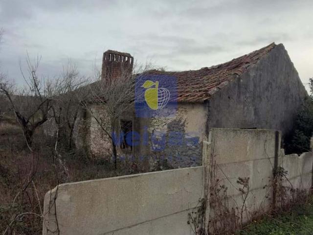 Terreno venda em Leiria