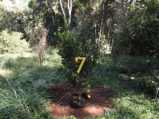 Sítio e chácara venda em Região Geográfica Imediata de Juiz de Fora, Juiz de Fora