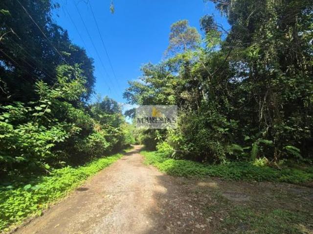 Terreno venda em Região Imediata de Caraguatatuba-Ubatuba-São Sebastião, Região Metropolitana do Vale do Paraíba e Litoral Norte