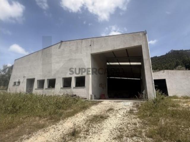 Terreno venda em Casal de Santo Amaro, Penacova