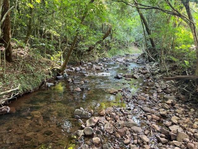 Sítio e chácara venda em Região Geográfica Imediata de Caxias do Sul, São Francisco de Paula