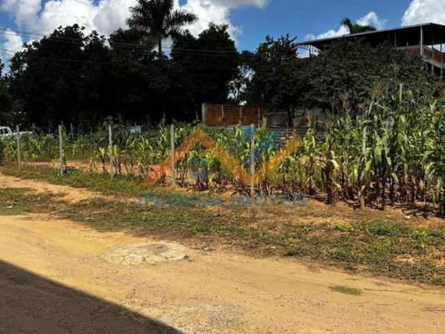 Sítio e chácara venda em Região Geográfica Imediata de Caratinga, Caratinga