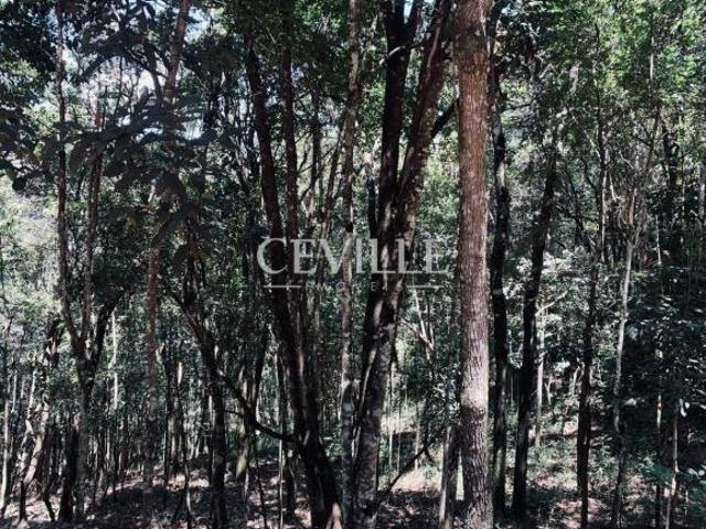 Terreno venda em Região Geográfica Imediata de Belo Horizonte, Região Metropolitana de Belo Horizonte