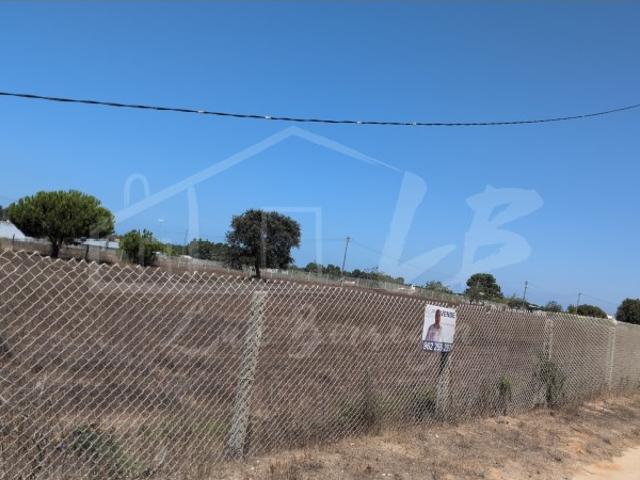 Terreno venda em Santiago Do Cacém, Setúbal