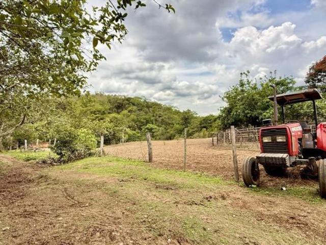 Sítio e chácara venda em Região Geográfica Imediata de Luziânia, Região Integrada de Desenvolvimento do Distrito Federal e Entorno