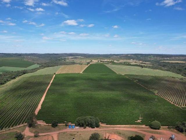 Sítio e chácara venda em São Francisco, Patrocínio