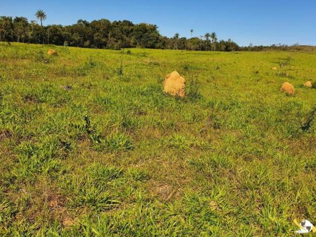 Sítio e chácara venda em São Francisco, Patrocínio