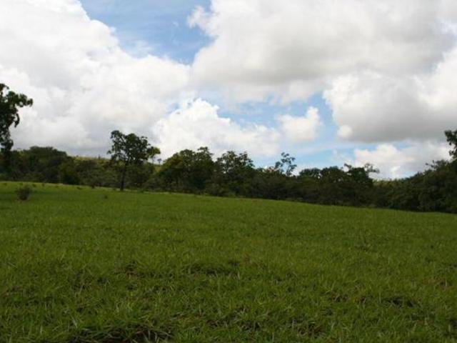 Sítio e chácara venda em Região Geográfica Imediata de Garanhuns, Região Nordeste