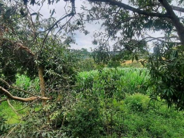 Sítio e chácara venda em Região Geográfica Imediata de Luziânia, Região Integrada de Desenvolvimento do Distrito Federal e Entorno