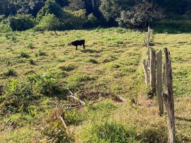Sítio e chácara venda em Região Geográfica Imediata de Itajubá, Itajubá