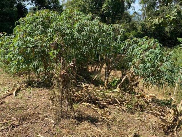 Terreno venda em Região Imediata de São Paulo, Região Metropolitana de São Paulo