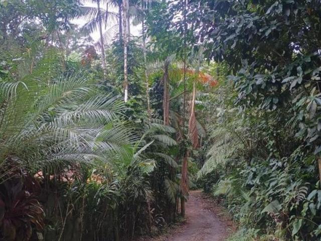 Casa venda em Região Imediata de Caraguatatuba-Ubatuba-São Sebastião, Região Metropolitana do Vale do Paraíba e Litoral Norte