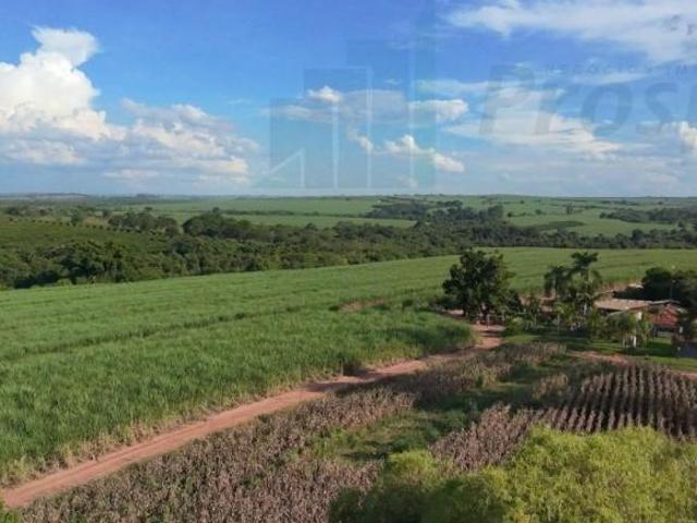 Sítio e chácara venda em Região Imediata de Barretos, Monte Azul Paulista