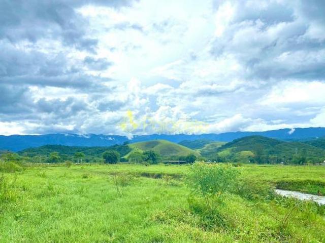 Terreno venda em Região Imediata de Taubaté-Pindamonhangaba, Região Metropolitana do Vale do Paraíba e Litoral Norte