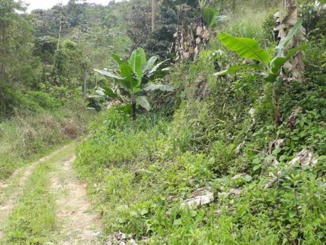 Sítio e chácara venda em Miracatu