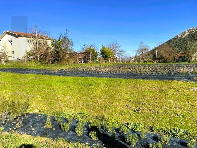 Quinta venda em Santa Maria De Sardoura, Penas