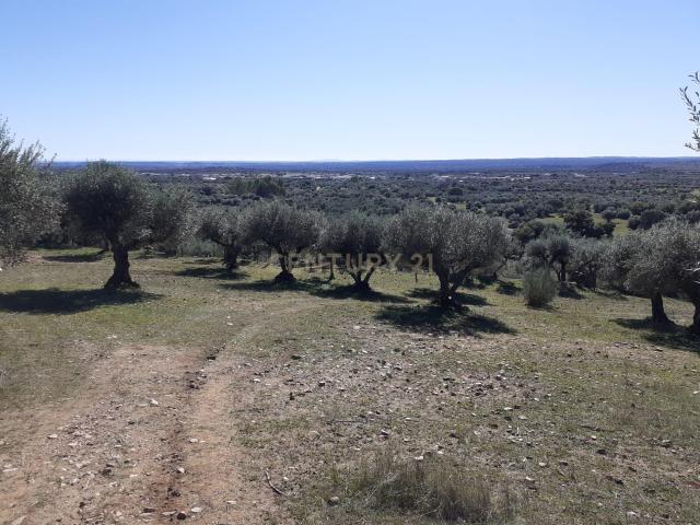 Terreno venda em Reguengos De Monsaraz, Évora