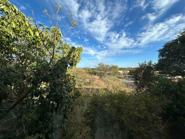 Apartamento aluguel em Lago Sul, Região Geográfica Intermediária do Distrito Federal
