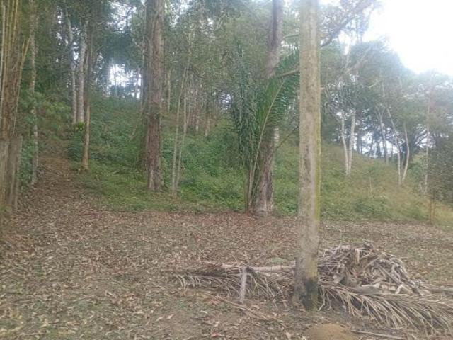 Sítio e chácara venda em Região Imediata de São Paulo, Região Metropolitana de São Paulo