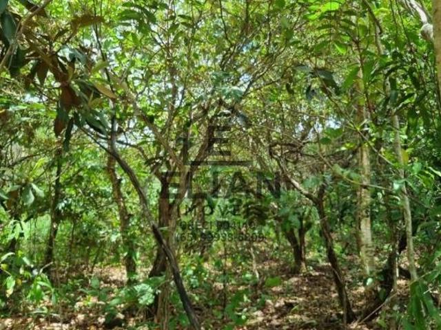 Terreno venda em Região Geográfica Imediata de Cuiabá, Região Metropolitana do Vale do Rio Cuiabá