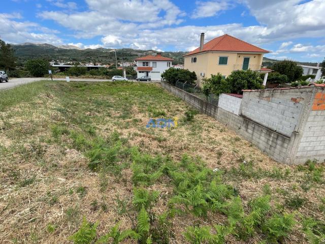 Terreno venda em Castelo Branco