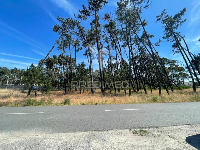 Terreno venda em Ílhavo, Aveiro