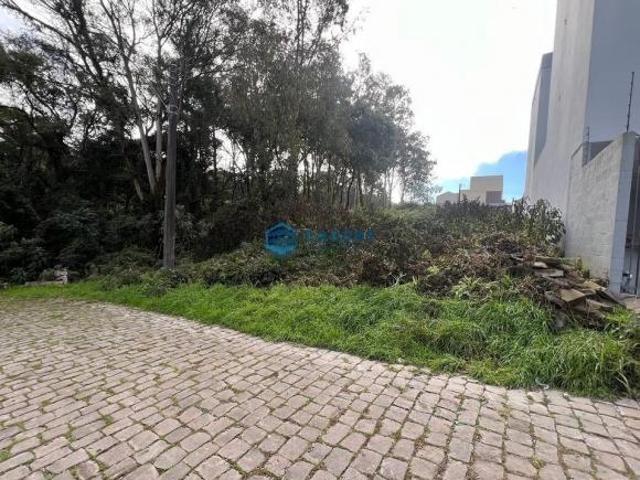 Terreno venda em Região Geográfica Imediata de Caxias do Sul, Caxias do Sul