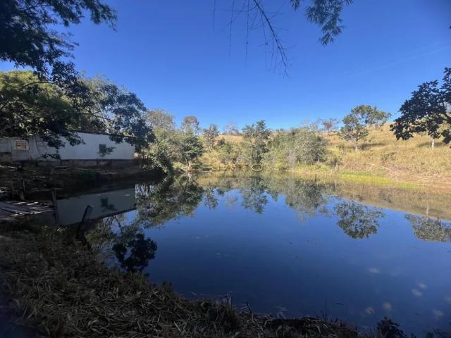 Fazenda venda em Região Geográfica Imediata de Anápolis, Região Integrada de Desenvolvimento do Distrito Federal e Entorno