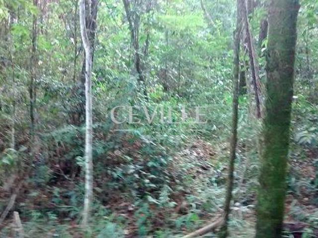 Terreno venda em Região Geográfica Imediata de Belo Horizonte, Região Metropolitana de Belo Horizonte