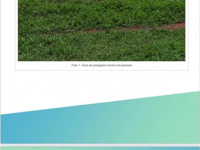 Sítio e chácara venda em Região Geográfica Imediata de Porangatu, Porangatu