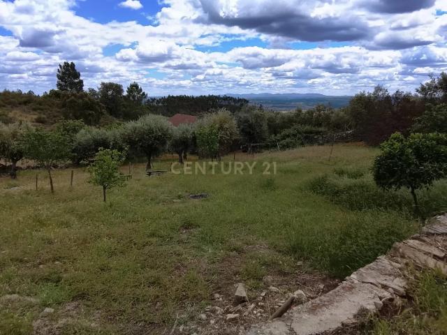 Quinta venda em Castelo Branco, Vila Velha De Ródão