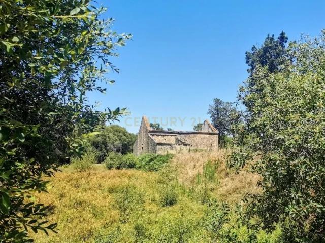 Quinta venda em Castelo Branco