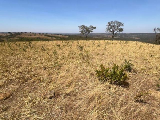 Sítio e chácara venda em Região Geográfica Imediata de Luziânia, Região Integrada de Desenvolvimento do Distrito Federal e Entorno
