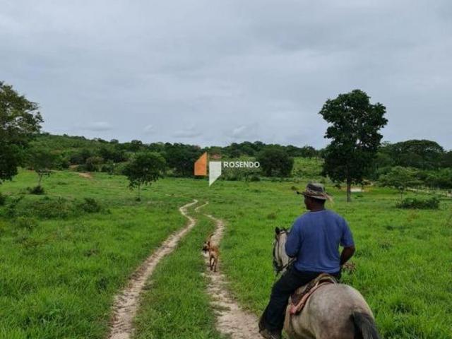 Sítio e chácara venda em Região Geográfica Imediata de São Francisco, São Francisco