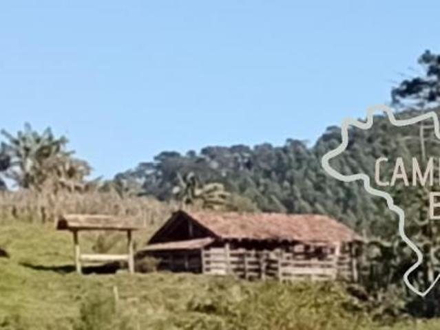 Sítio e chácara venda em Região Imediata de São José dos Campos, Região Metropolitana do Vale do Paraíba e Litoral Norte