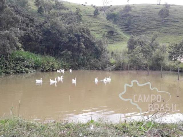 Sítio e chácara venda em Região Imediata de São José dos Campos, Região Metropolitana do Vale do Paraíba e Litoral Norte