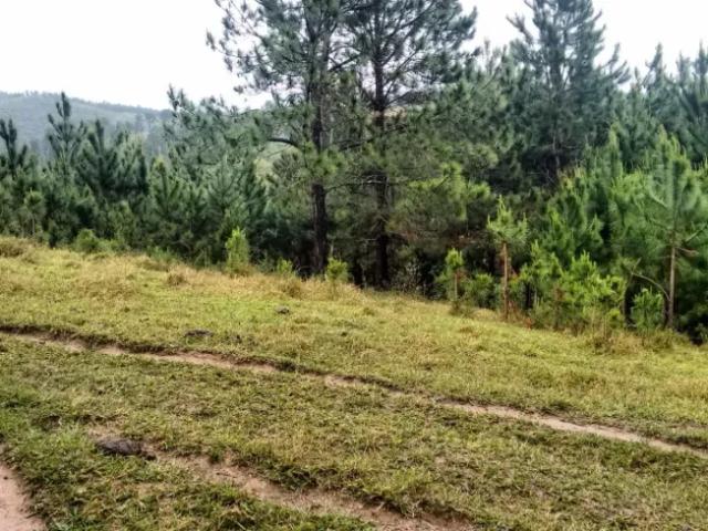 Fazenda venda em Região Imediata de Sorocaba, Região Metropolitana de Sorocaba