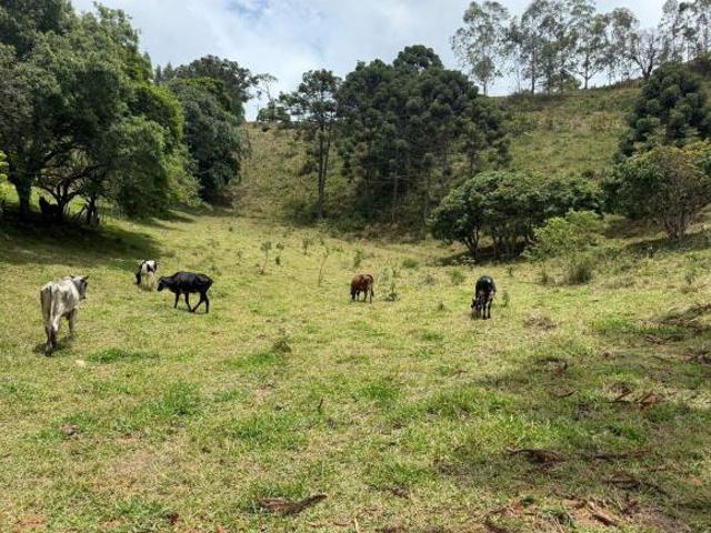 Sítio e chácara venda em Região Imediata de Bragança Paulista, Joanópolis