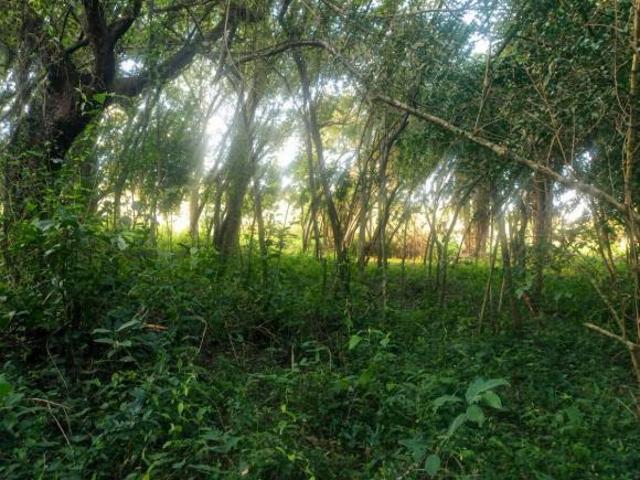 Sítio e chácara venda em Região Imediata de Campinas, Região Metropolitana de Campinas
