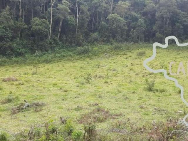 Sítio e chácara venda em Região Geográfica Imediata de Juiz de Fora, Bom Jardim de Minas