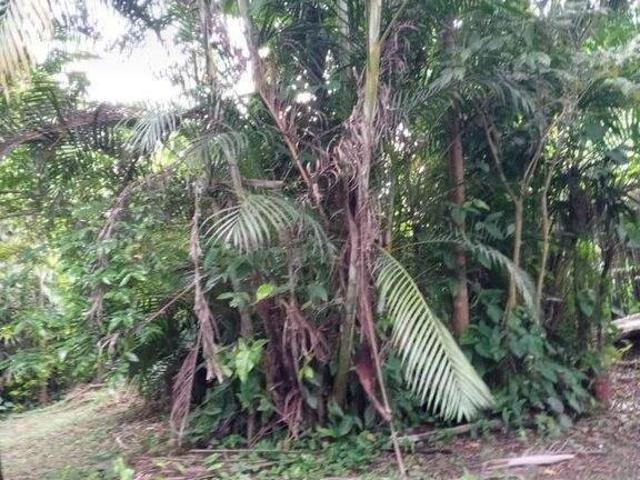 Sítio e chácara venda em Região Imediata de São Paulo, Região Metropolitana de São Paulo