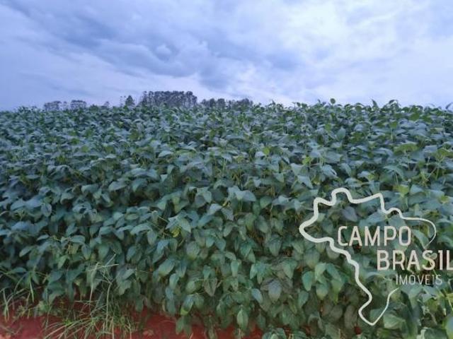 Sítio e chácara venda em Região Geográfica Imediata de Formiga, Bambuí