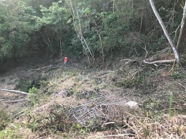 Terreno venda em São Francisco da Praia, São Sebastião