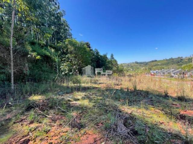 Terreno venda em Região Geográfica Imediata de Novo Hamburgo - São Leopoldo, Tupandi