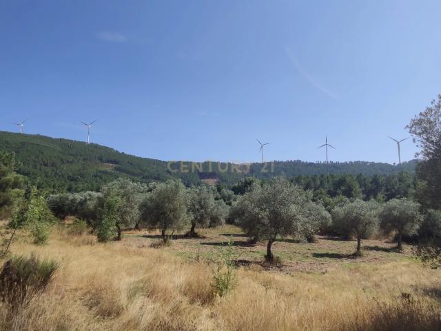 Terreno venda em Castelo Branco, Penamacor